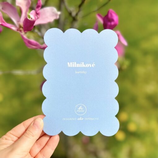 Milníkové kartičky pro těhotné a pro miminka - sada modrá